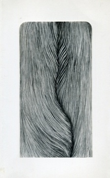 李战豪，w先生、材料纸上铅笔，19x10cm，2013
