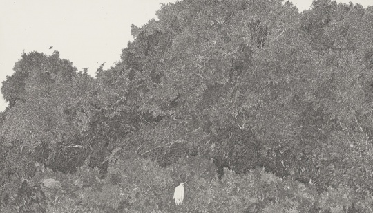 周范，思乡病 ， 纸上作品，74 X 42 cm， 2013
