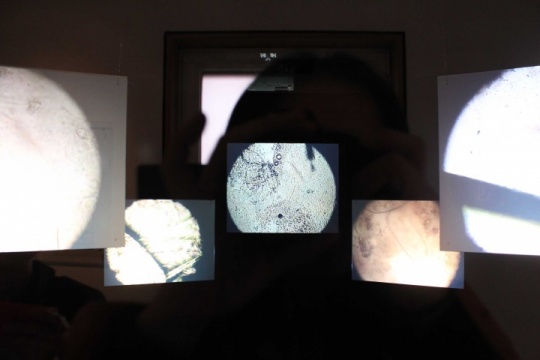 墨斋展厅 墙壁造景 微生物显微摄影作品
