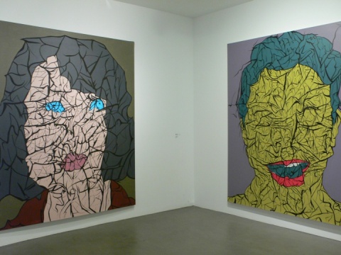 “表皮”系列作品
 “表皮”系列作品