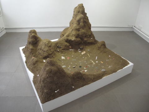 《一个地方》，泥土、水、杂物，尺寸可变，2014
