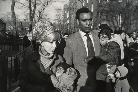 Gary Winogrand, Central Park Zoo, New York (1967).Collection of Randi and Bob Fisher, © the estate of Garry Winogrand, courtesy Fraenkel Gallery, San Francisco.
