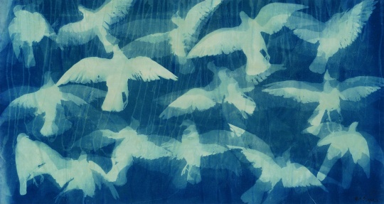 《K6.飞翔的鸽子》94.7X176.7cm 宣纸蓝晒 2013
