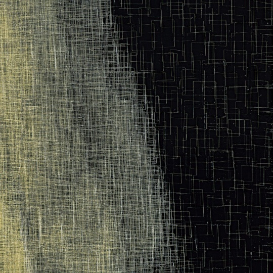 《它9》细节，透明胶带，黑色亚克力板，2010
