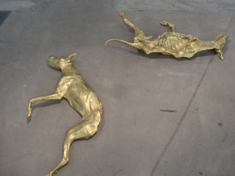 这件作品来源于艺术家几年前在草场地看见的被晾晒的狗肉，Steiner以此探讨对称以及身体的问题
