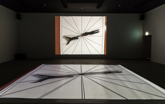 View of the exhibition Bruce Nauman, Fondation Cartier pour l’art contemporain, 2015. Photo © Luc Boegly
View of the exhibition Bruce Nauman, Fondation Cartier pour l’art contemporain, 2015. Photo © Luc Boegly
