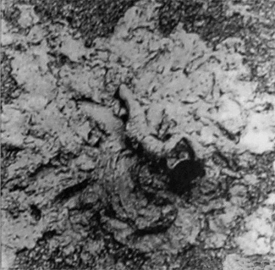 具体美术协会成员白发一雄跃身泥潭，1955年，©白发一雄，图片来源：潘力《“物派”档案（之一）》
