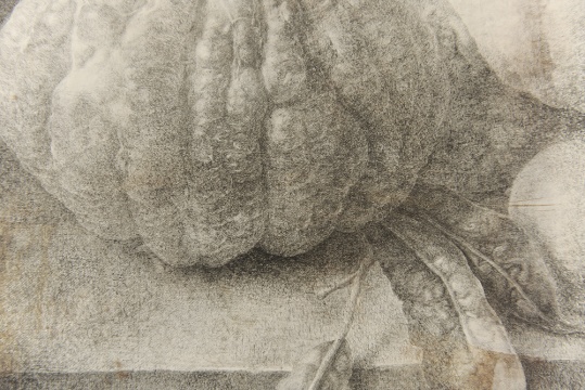 金罡《温室新品种no.1》局部  190×50cm  布面油画  2012  b.1985 毕业于四川美术学院油画系
