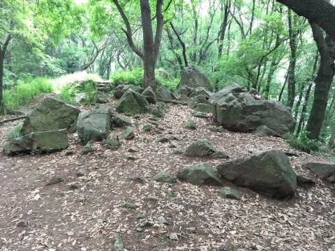  

青年陈东升刻在山上的“千里之行，始于足下”的“始”字就在武汉大学灵魂之山珞珈山绿树掩映的群石中
