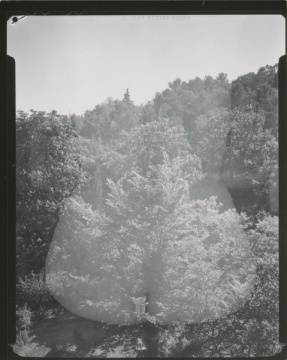 《埃莉诺（2），艾克斯-普罗旺斯，法国》明胶银盐 1958
