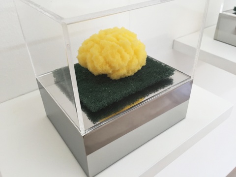 周文斗《海绵 - 大脑》  9 × 6 × 4.5 cm    海绵   2006
