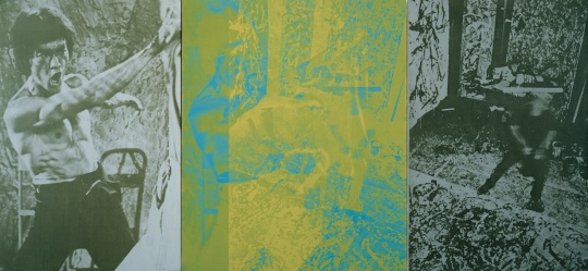 《双龙 》，1999，布面丙烯、丝网印刷，183 x 396.5 厘米。私人收藏
