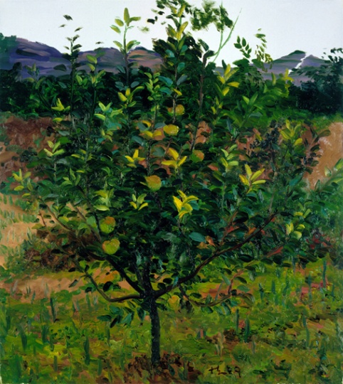 《苹果树》100x90cm 布面油画 2009
