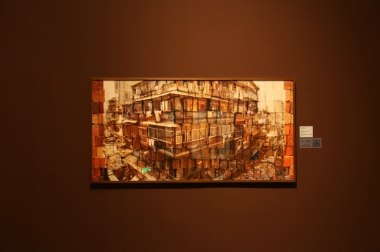 Pooja Iranna （普佳·伊拉那） 《不懈的扩张（一）》 91.44 × 182.88cm  德国哈内姆勒牌博物馆蚀版纸数码打印   版数1/5   2013
