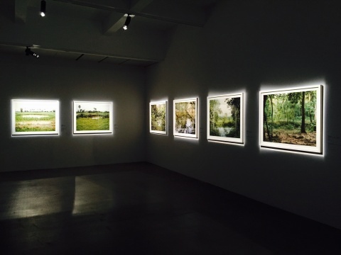 万迪拉塔纳的作品在昏暗的空间内呈现出的视觉效果