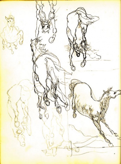 油画《马》草图 21×28cm 圆珠笔、铅笔
