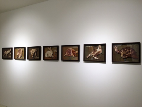 龚辰宇 《宠物标本系列》 多种尺寸 木板油画 2014
