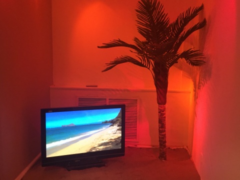 电视里的海和仿真椰树
