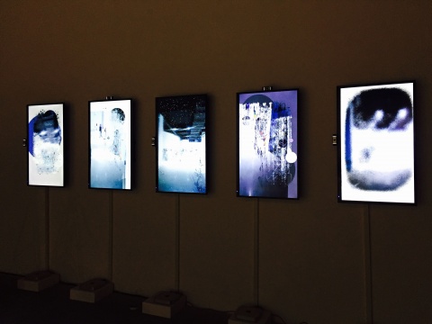 刘唱2015年交互影像装置作品 《野蛮生长》
