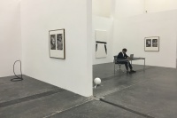 在一场虚拟的博览会里看艺术的发生,田霏宇,迈克尔·艾默格林,英格·德拉塞特