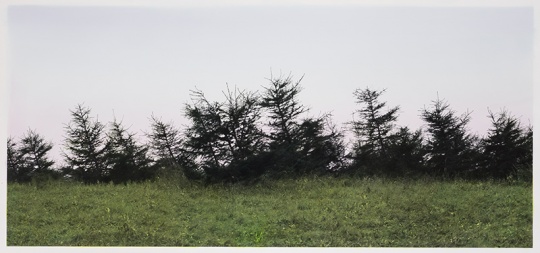 史国威《倾斜》 112×241.5cm 黑白照片手工着色  2016
