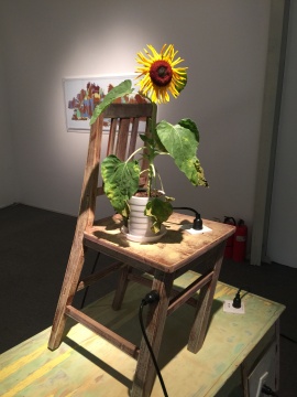 椅子上的向日葵

