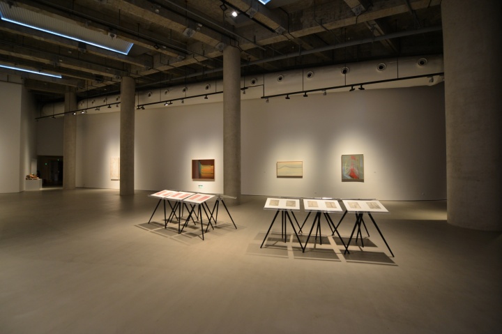 “向心的斥力——深圳国际当代艺术家邀请展”展览现场
