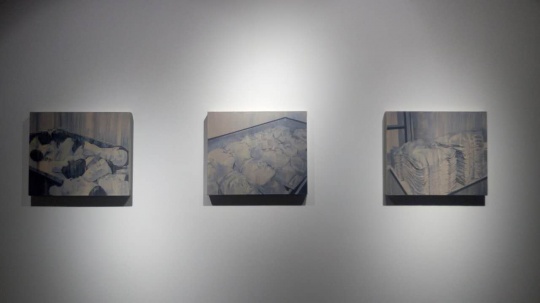 刘影 《同一性》系列 60×50cm（每件） 布面丙烯 2015
