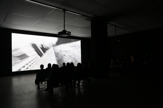 《新山海经3》 在博而励画廊的一楼展厅内放映

