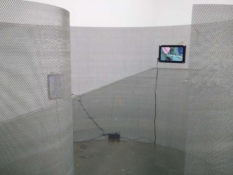 《狗尾草》 104×160×105cm 狗尾草、钢丝网、数码相框 2017
