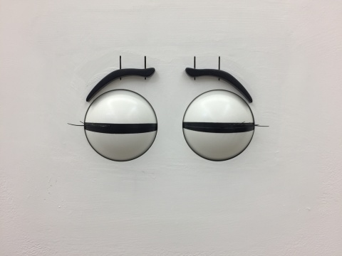 瑞恩·甘德 《“受欢迎的作品”夫人》 35×35×17.5cm 电动眼睛、传感器 2016
