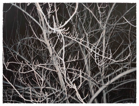 龚剑《看这颗灰色的树 #12》 170x230cm 布面丙烯  2016
