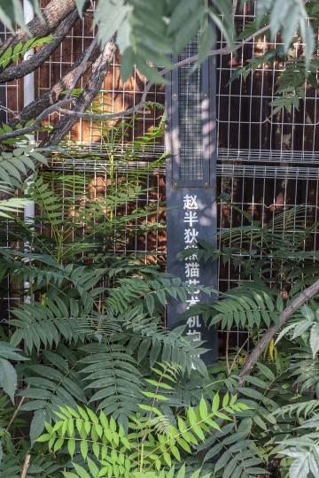 赵半狄工作室外树丛中的一块铁牌，“赵半狄熊猫艺术机构”字样依旧清晰可见