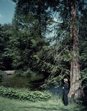 安德里亚斯·穆埃《安鸽拉·默克尔在树下》170×100cm 2008
