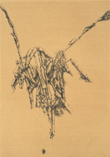 《美人蕉》 72×51cm 纸本圆珠笔 2011
