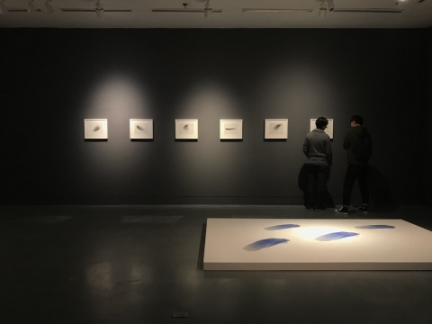 韩国艺术家 金润秀 “风”系列作品
