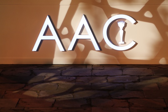 第12届AAC艺术中国颁奖典礼在故宫举办
