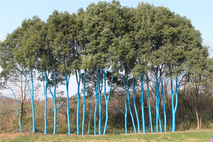 27度角，首个“生态雕塑”双年展何以塑造武汉生态？