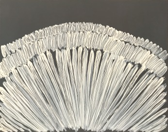 李健镛 《身体描绘 76-4》 91 x 116.7cm 布面铅笔，丙烯 2017
