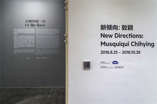 台湾艺术家致颖UCCA“新倾向”发问，中国为中心的美学新秩序为我们带来何种未来？