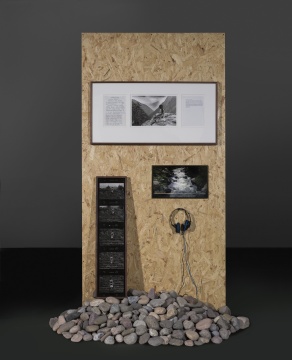 蔡东东，《黑虎》，多媒体影像装置 - 明胶卤化银照片、显示器、石头、木头，170x160x240cm，2018 
