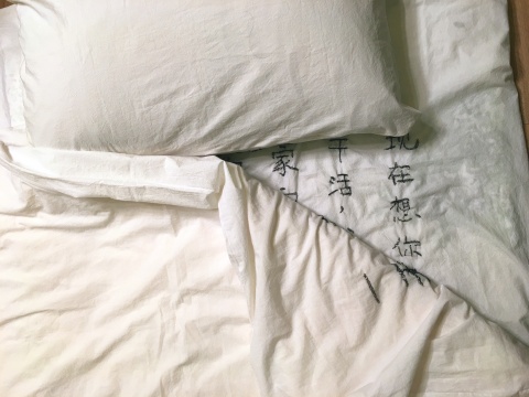 陈秋林《一天》床单230×160cm，被套200×150cm，枕头74×48cm 装置（棉布、头发）2014-2016
