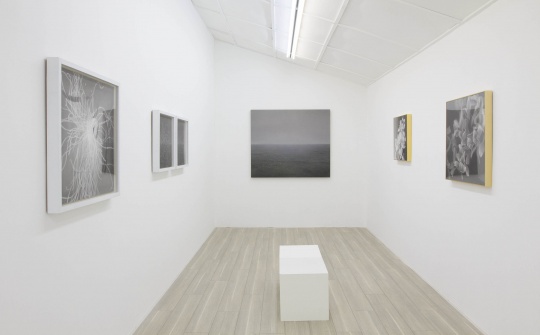 在Tong Gallery+Projects 看刘夏和许良笔下的光影与像素