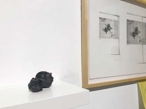 “滚动的雪球”第十二届在南艺美术馆开幕，双向凝视，从“global”到“glocal”