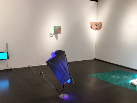 “滚动的雪球”第十二届在南艺美术馆开幕，双向凝视，从“global”到“glocal”