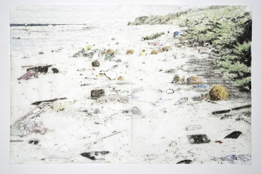 达维德·坎托尼 Davide Cantoni 1951 意大利《大西洋亨德森岛》122×184 cm 纸上烧焦绘画 2017 由布林达特画廊提供