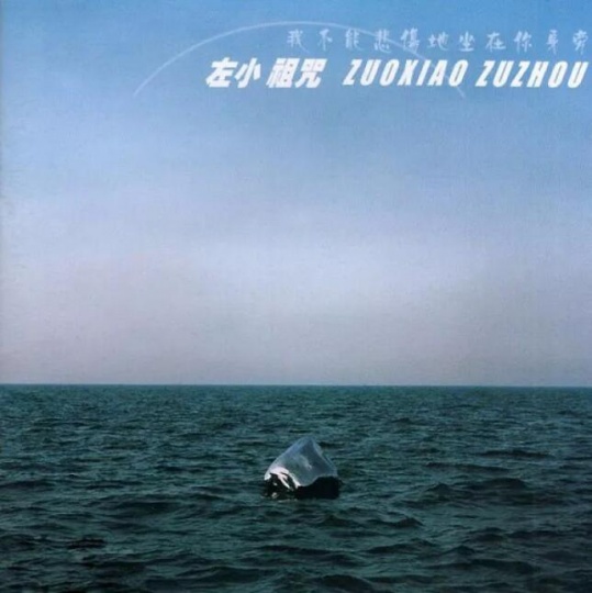 左小祖咒《我不能悲伤的坐在你身旁》专辑封面，2005年发行 封面艺术家：展望
