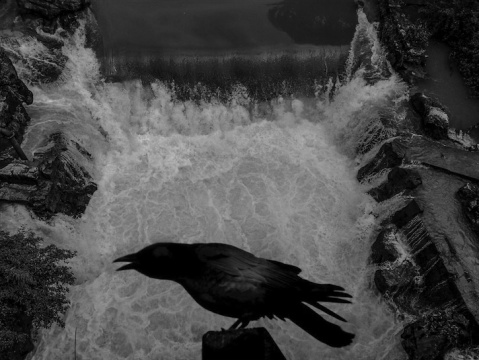 《鸟人》系列  摄影  20x15cm  2015
