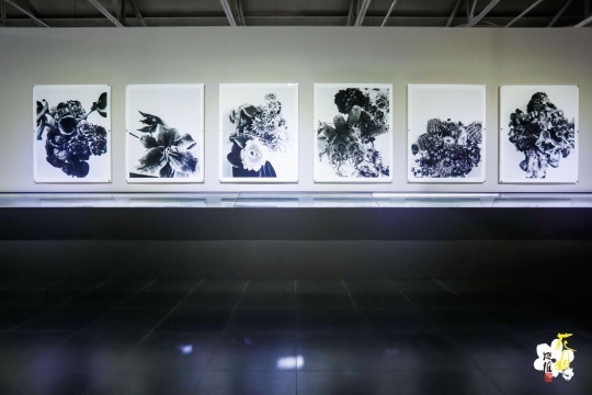 荒木经惟大型摄影展来到北京 桥艺术空间绽放“花幽”