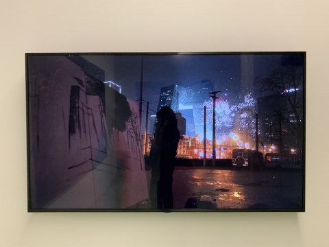 厉槟源 《一个人的春晚》 300×200cm 录像、布面油画 2017
